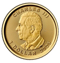 1/20 oz Maple Leaf | Or | 2025