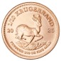 1/10 oz Krugerrand | Or | 2025