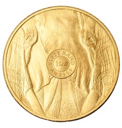 1 oz Big 5 Elephant Pièce d'Or | 2025