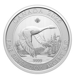 2 oz Bernache du Canada pièce d'argent | 2025