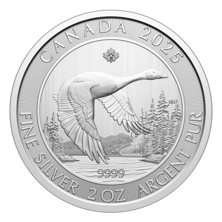 2 oz Bernache du Canada pièce d'argent | 2025