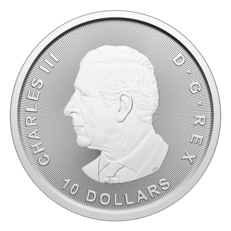2 oz Bernache du Canada pièce d'argent | 2025
