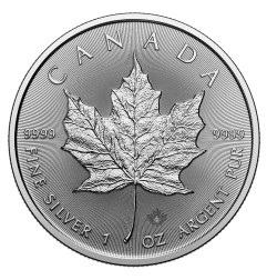 1 oz Maple Leaf | Argent | 2025