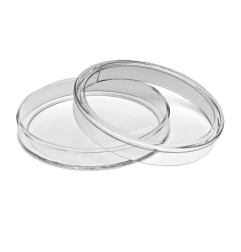 2 oz Queen's Beasts Capsules