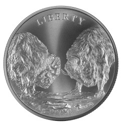 1 oz Buffalo Pièce D'argent