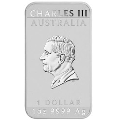 1 oz Dragon Argent Rectangulaire | 2025