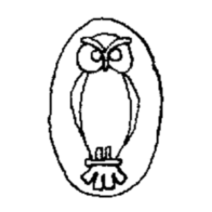 5.webp