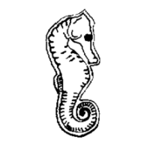 hippocampe.webp